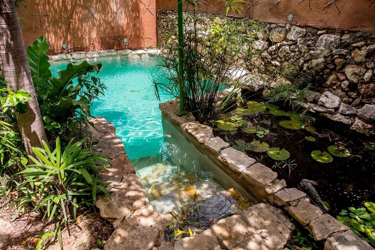 La Selva By Majikal B&B Mérida Exterior foto