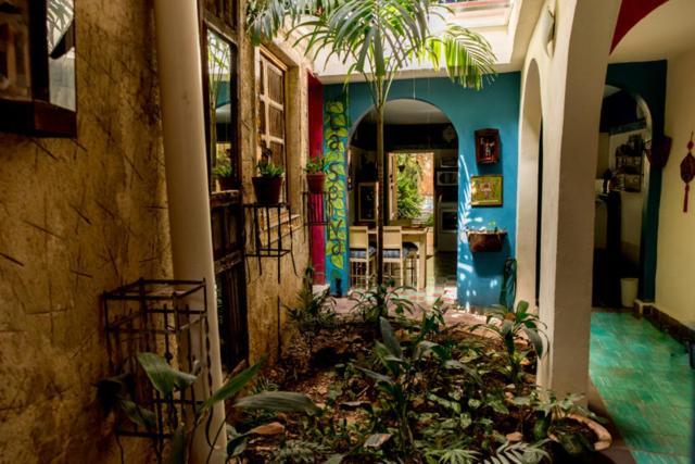 La Selva By Majikal B&B Mérida Exterior foto
