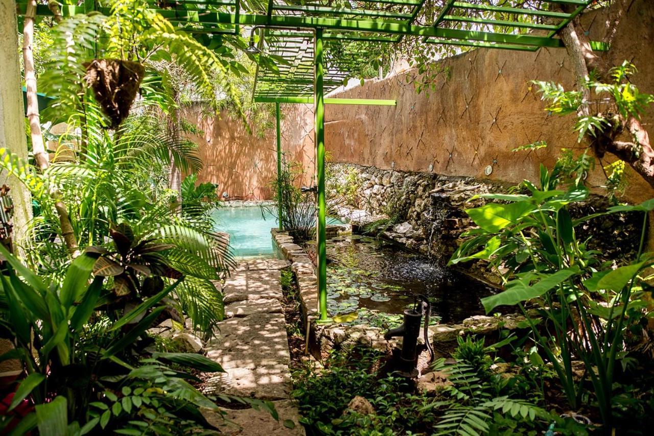 La Selva By Majikal B&B Mérida Exterior foto